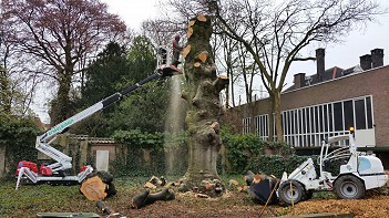 European Tree Workers (ETW)